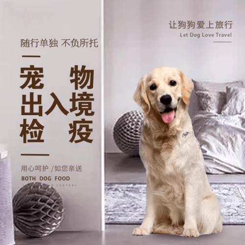 曲靖市宠物托运到哥伦比亚猫狗宠物入境规定和