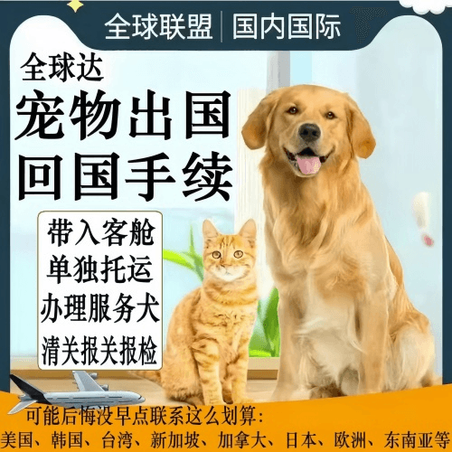 曲靖市宠物托运到柬埔寨宠物入境规定和要求