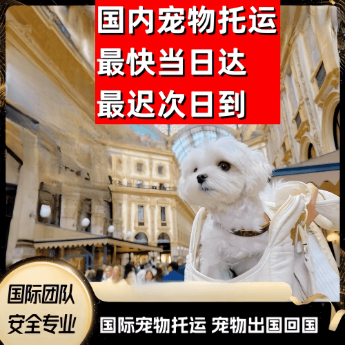 曲靖市到澳大利亚（澳洲）宠物入境规定和要求