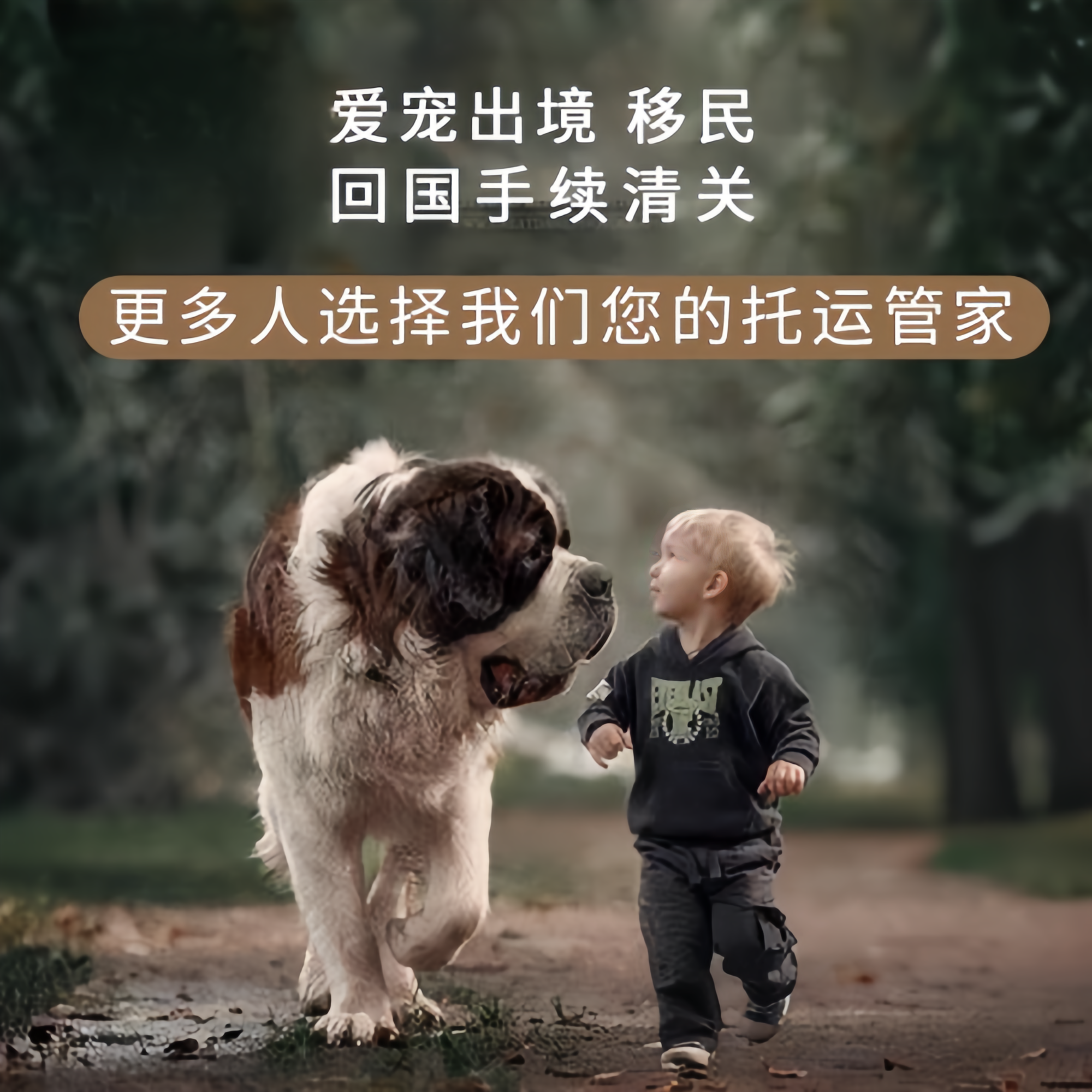 满财曲靖市宠物全球达宠物托运在遵守入境目的地政策的条件