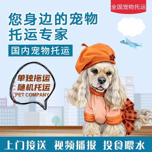 满财曲靖市宠物全球达宠物托运作为专业的宠物运输代理机构